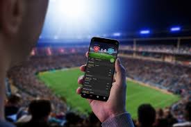 Everything You Need to Know About Soccer Bet Everything You Need to Know About Soccer Bet