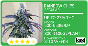 Understanding the Legal Landscape of Weed Seeds Ohio