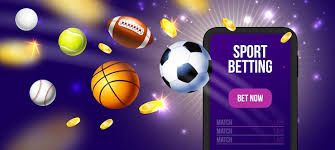 Betwinner Your Guide to Online Betting Success
